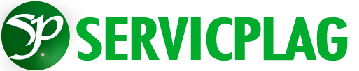 Servicplag